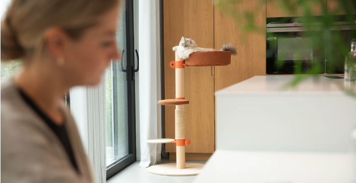 Belgische Fantail presenteert modulaire design kattenklim