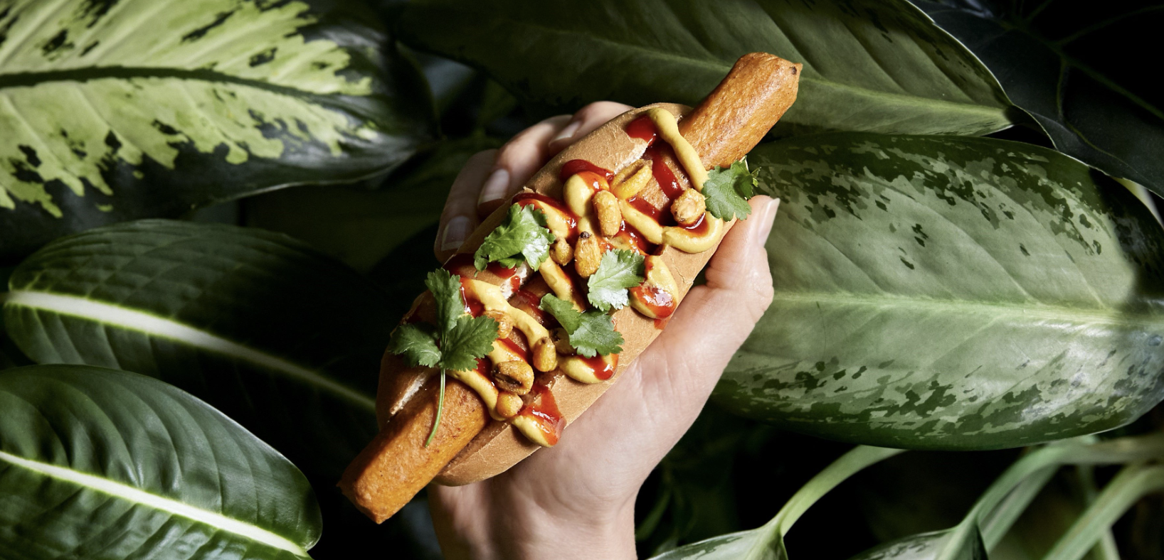 Plantbased hotdog van Brandt & Levie en Chez Jan neemt festivals over