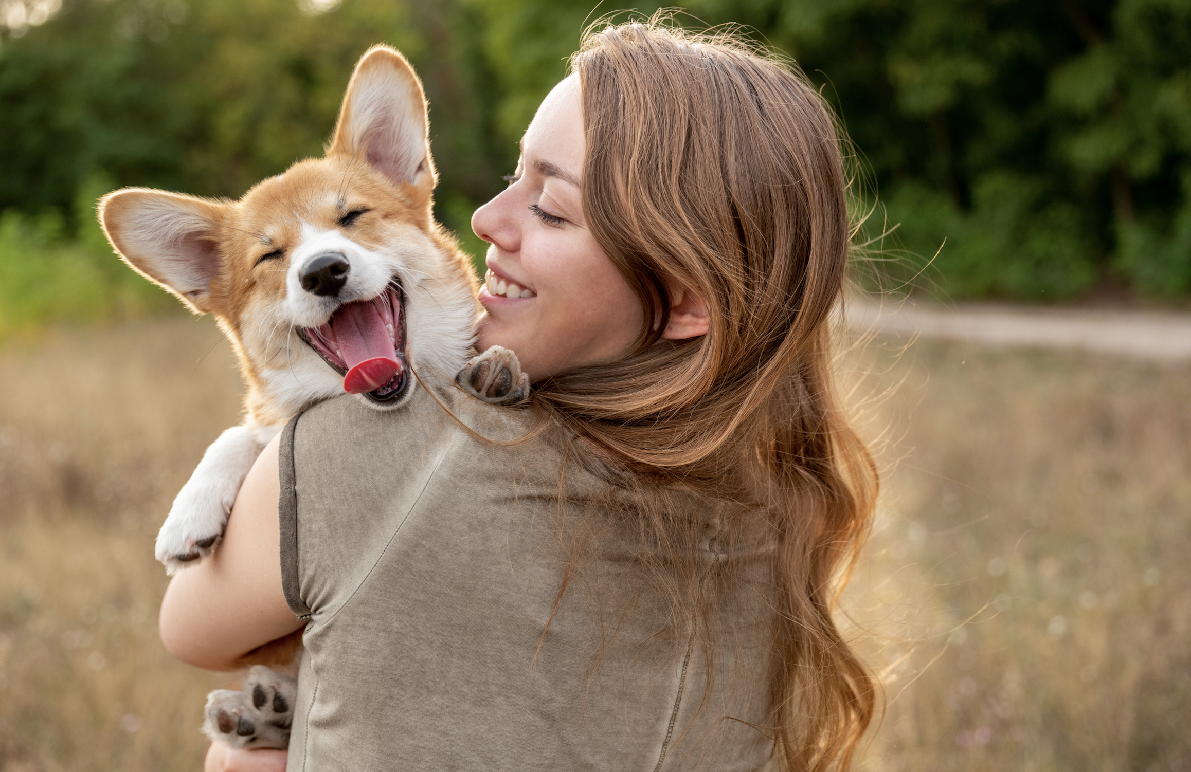 DogGPT van Pedigree voorkomt asielhonden door betere matches