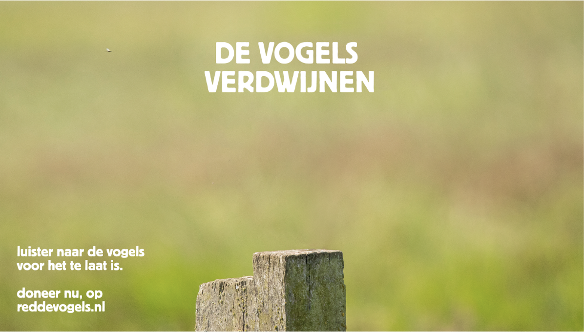 Luister naar de vogels voor het te laat is