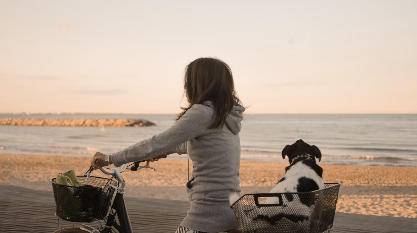 Veilig fietsen met je hond, zo doe je dat