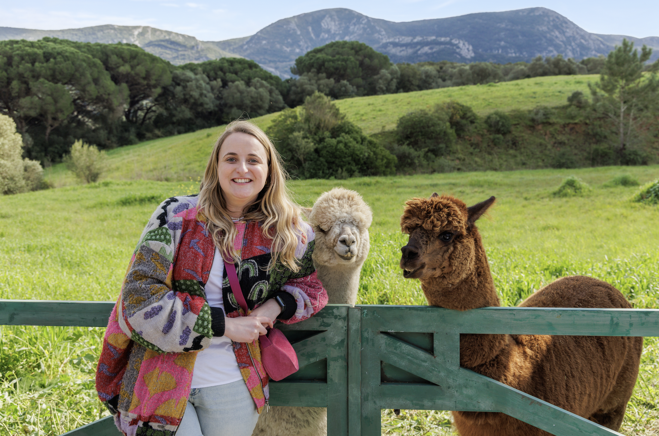 Na meeuwen en eekhoorn stelen alpaca’s show in Allianz Direct-campagne