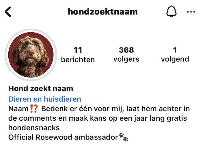 De AI-dogfluencer van huisdierenmerk Rosewood zoekt een naam