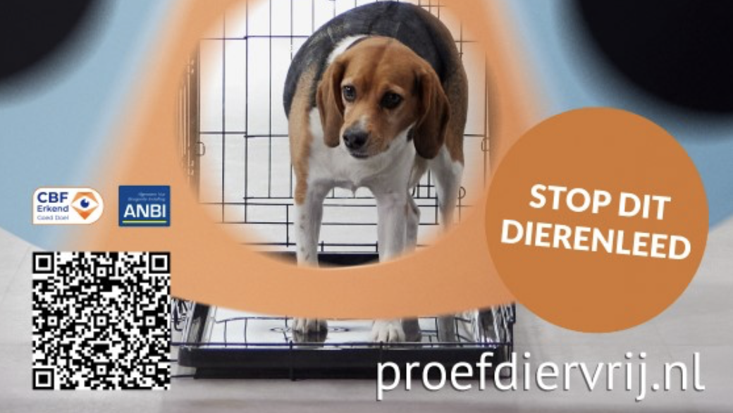 Proefdiervrij kiest All Response Media