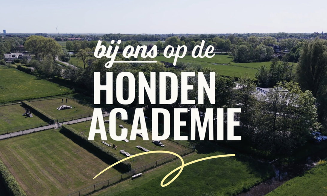 Nieuwe EO-docuserie geeft blik achter de schermen bij KNGF Geleidehonden