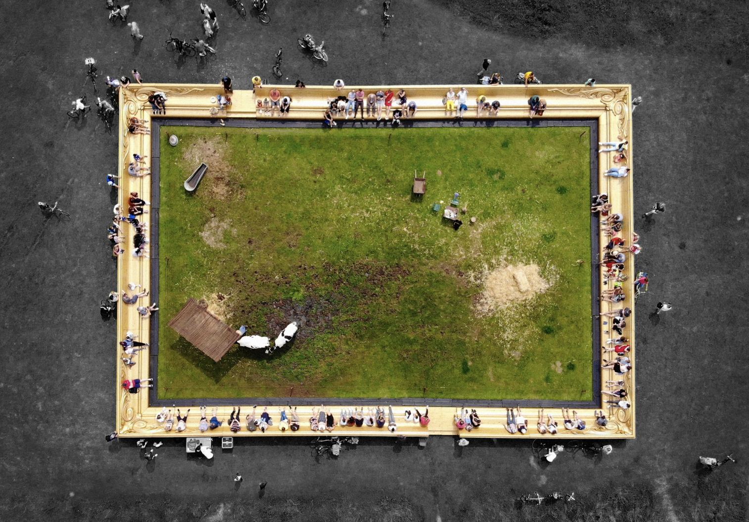 Levend schilderij met grazende koeien komt naar Oosterpark