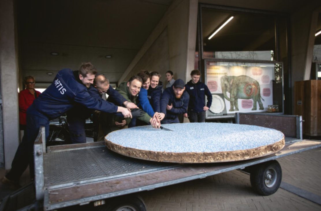 Natwerk en ARTIS realiseren in recordtijd beschuit-met-muisjes-ervaring 