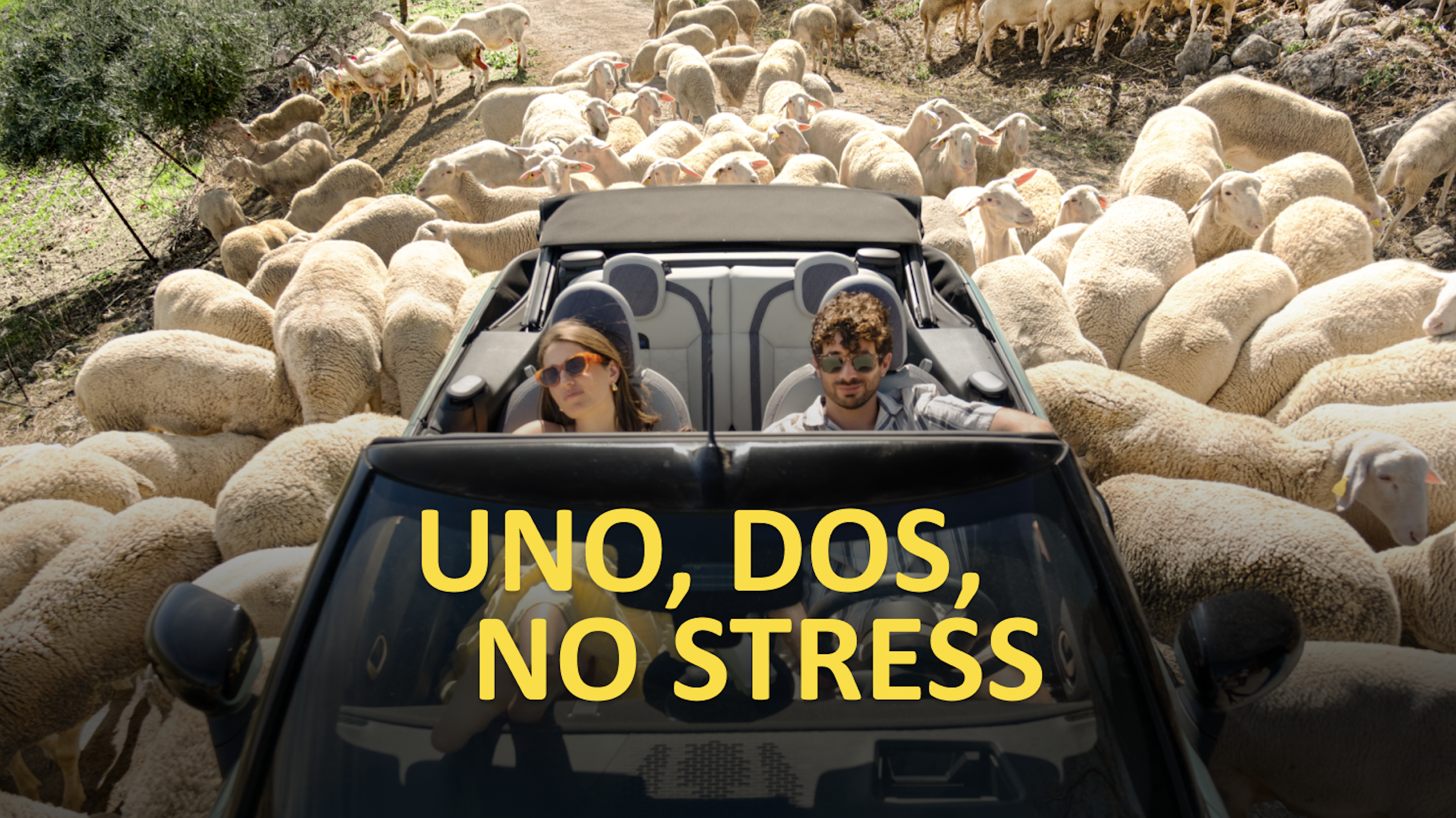 Sunny Cars en Lemon Scented Tea zetten in op zorgeloze autohuur