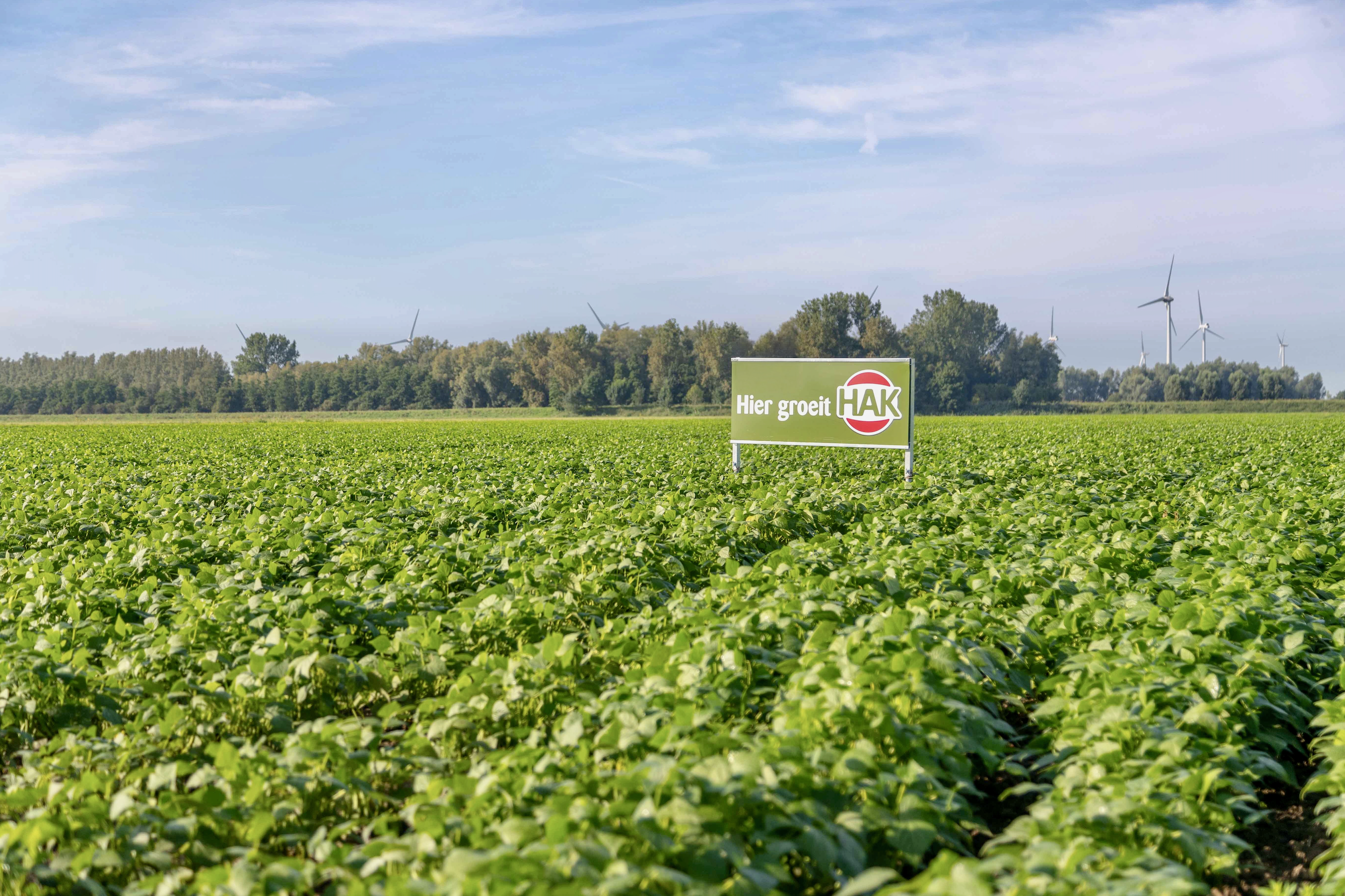 HAK zet flinke stap in B Corp-hercertificering