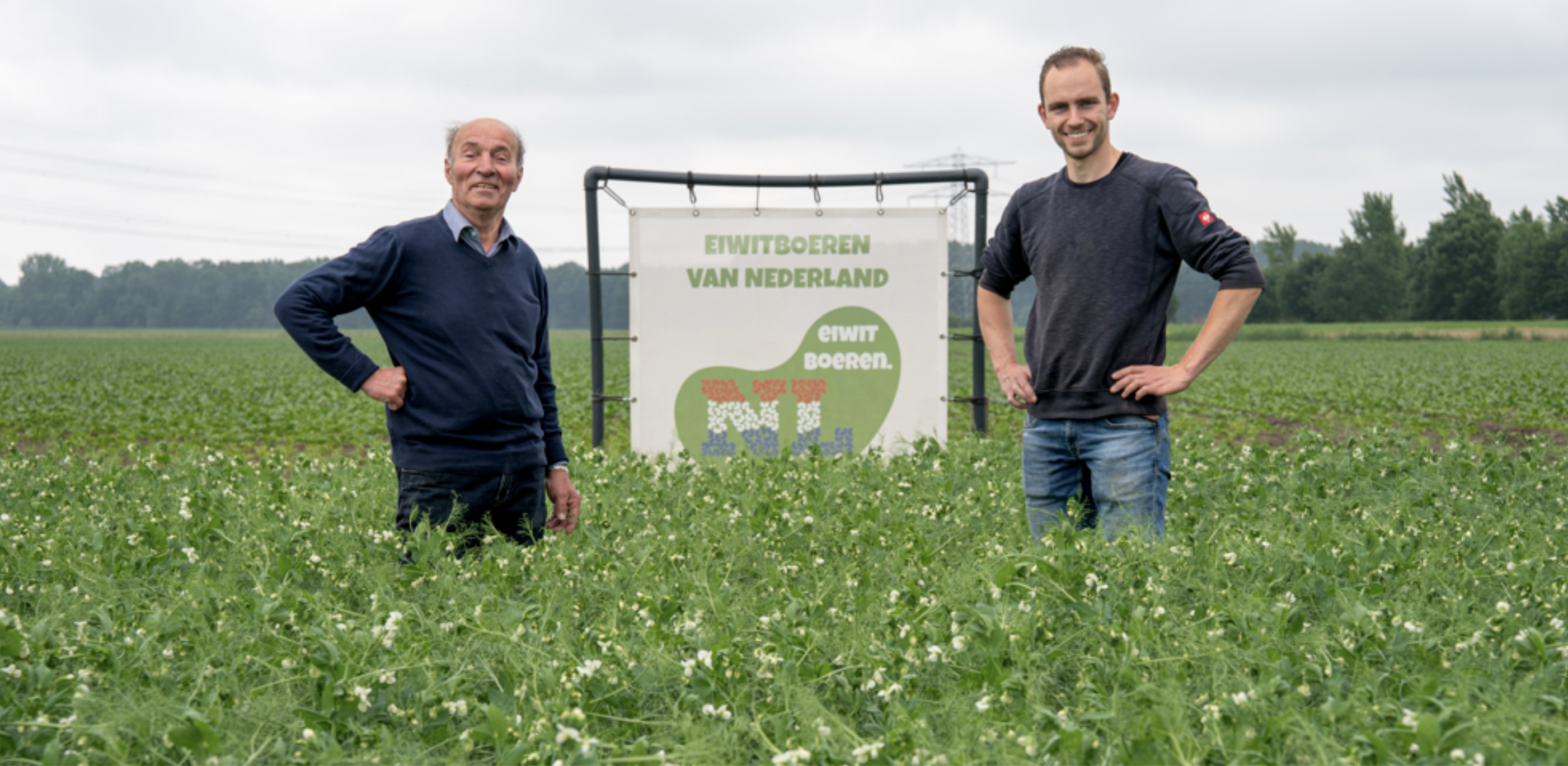 Vraag groeit, aanbod volgt: Jumbo promoot Nederlandse peulvruchten