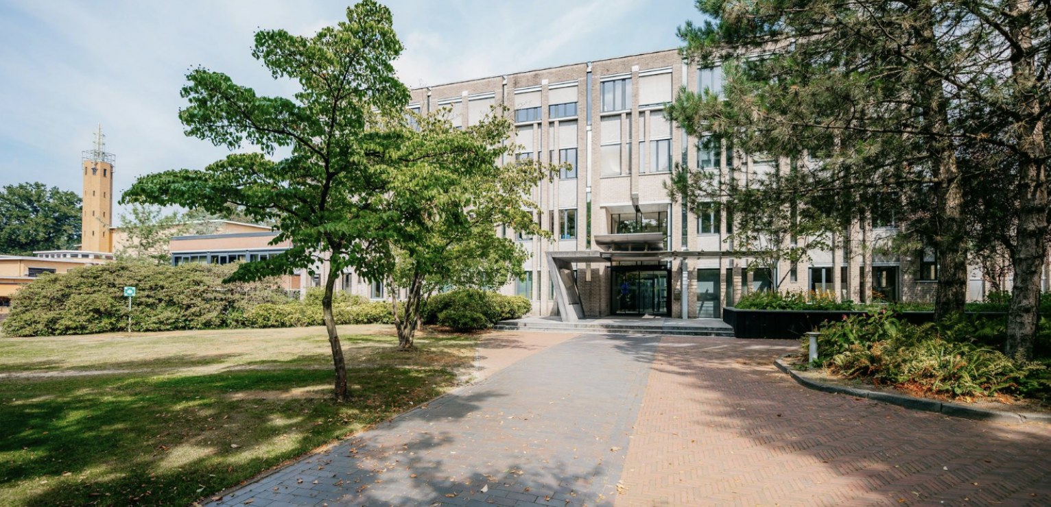 Nieuwe overkoepelende directie trekt Talpa Network en Studios