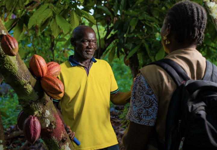 VS voorbij Nederland als grootste markt voor Tony's