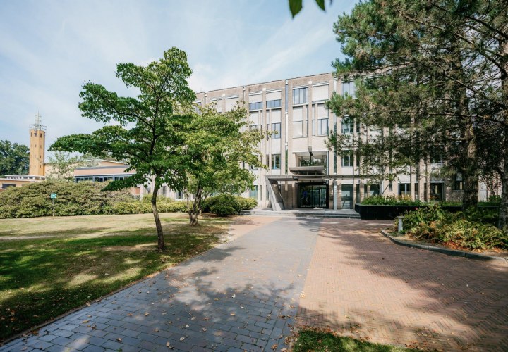 Nieuwe overkoepelende directie trekt Talpa Network en Studios