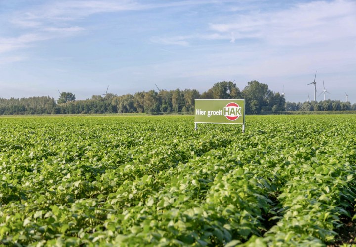 HAK zet flinke stap in B Corp-hercertificering