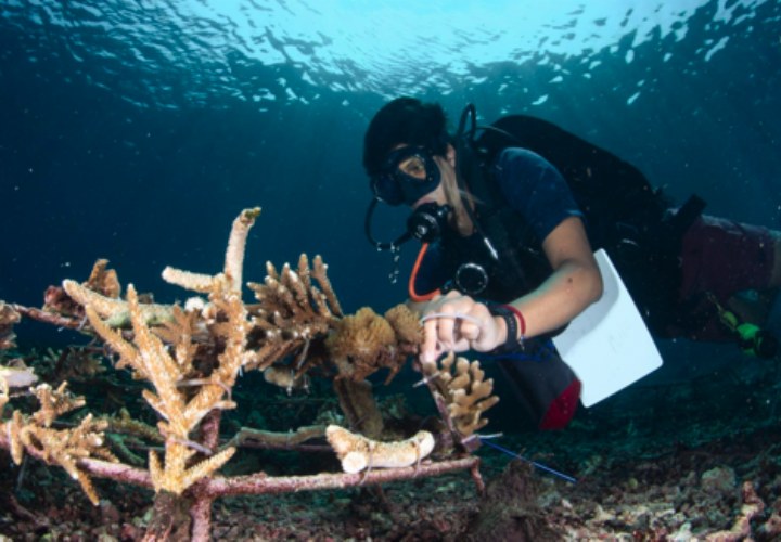 Blyde Benelux kiest Go Ocean als pro bono partner in jubileumjaar