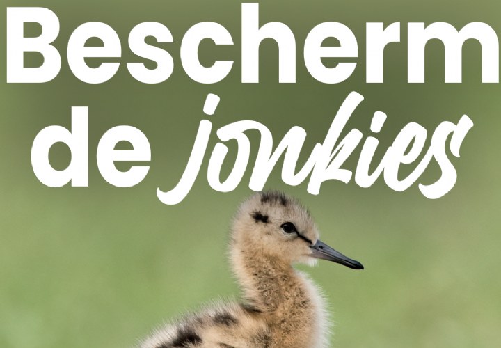 Natuurorganisaties starten campagne ‘Bescherm de jonkies’ bij begin broedseizoen