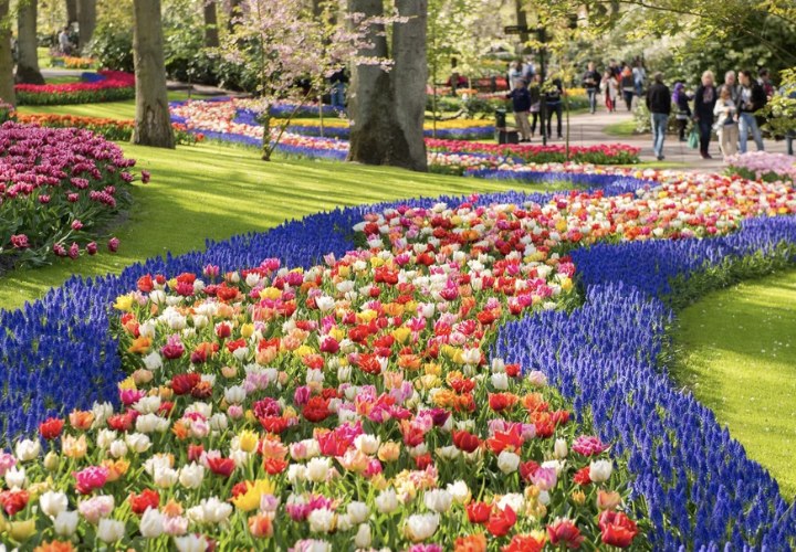 Directe Keukenhof-shuttlebus vanuit Den Haag van start