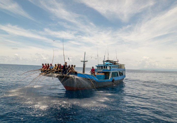 Fish Tales verdient derde nominatie Coolest Dutch Brands 2026