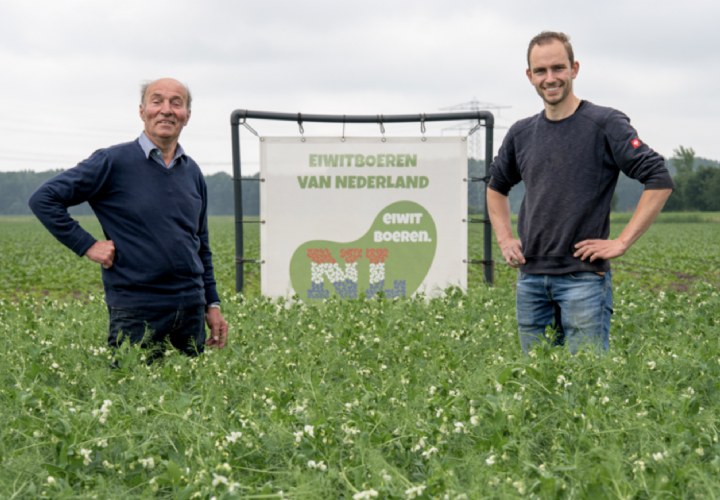 Vraag groeit, aanbod volgt: Jumbo promoot Nederlandse peulvruchten