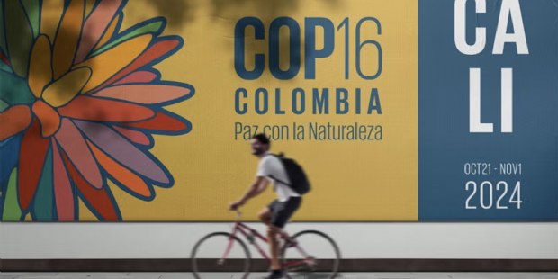 Dit was het Nederlandse aandeel van de natuurtop in Colombia