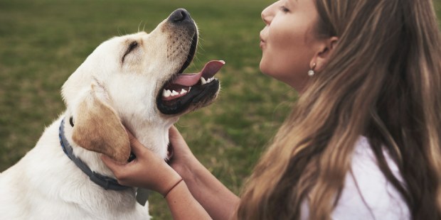 Initiative aan de slag voor Elanco Animal Health in Nederland en België