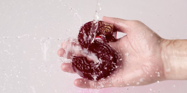 Nederland Wordt Beter heft zichzelf op na behalen doelen