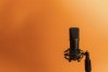 De Shitshow en Geuze en Gorgels genomineerd bij Dutch Podcast Awards